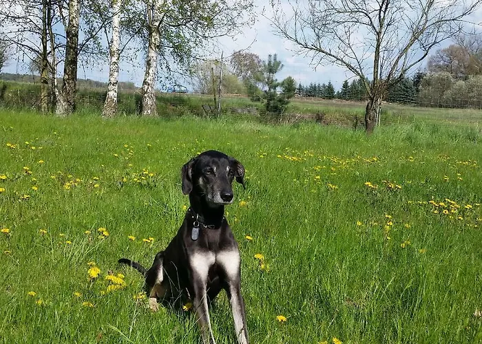 דירה Hof Heideland 1